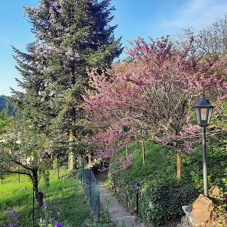 La Calade De Joux